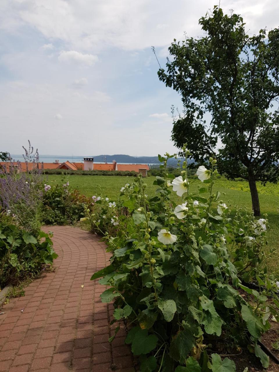 Koczor Winery&guesthouse Gasthof *